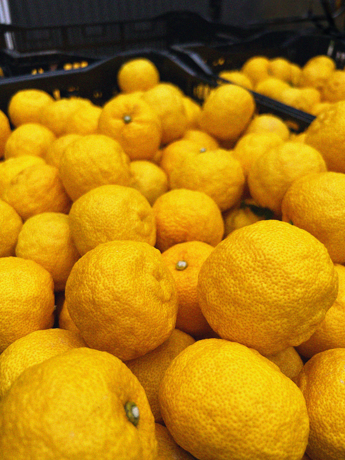 Yuzu Honey