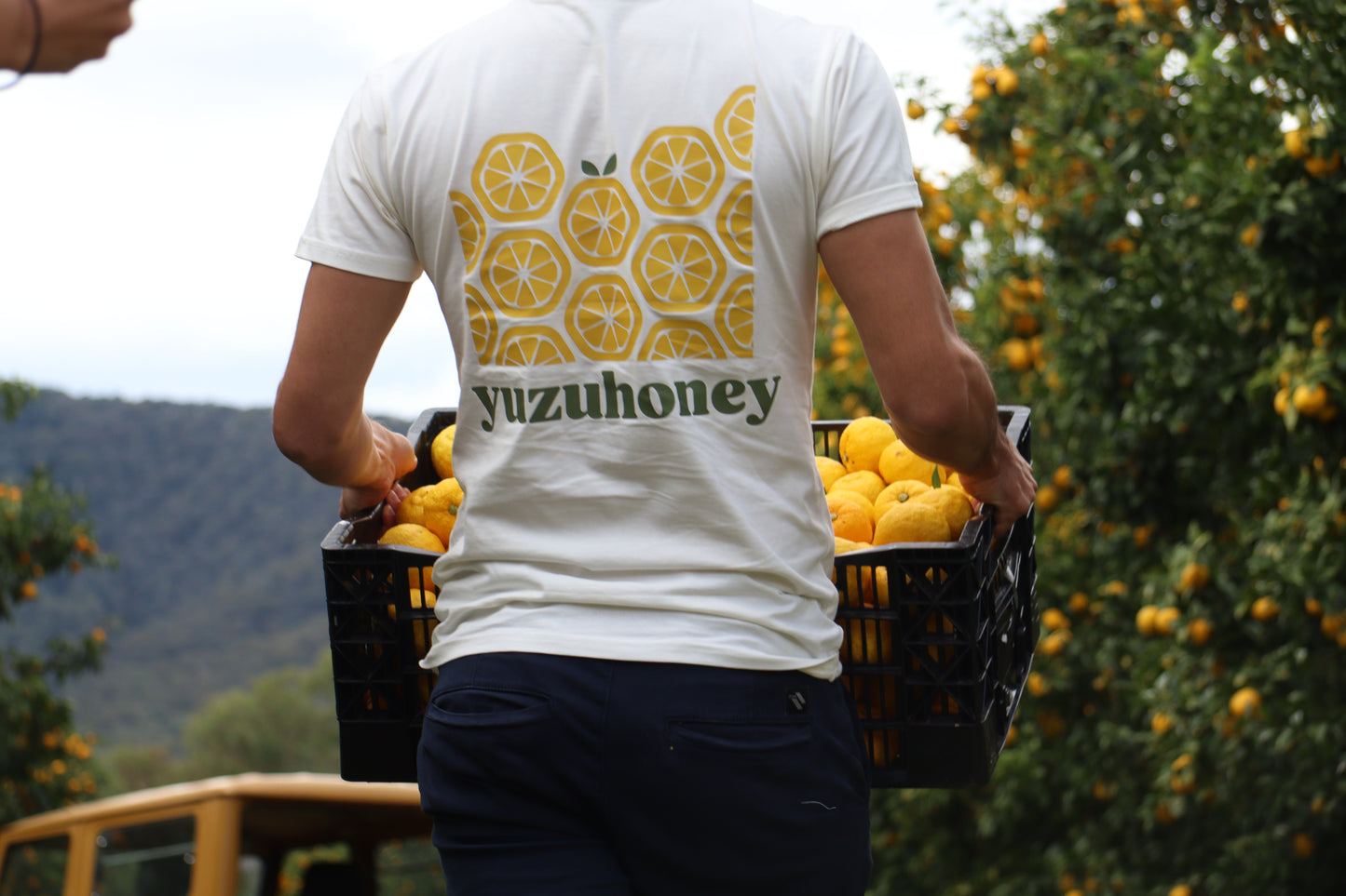 Yuzu Honey